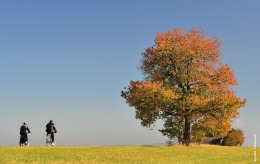 © msl33 - Fotolia.com