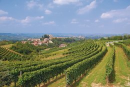 © travelpeter - Fotolia.com