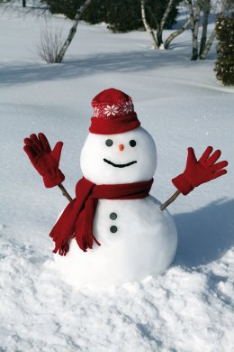 © Lurin-shutterstock.com/2013