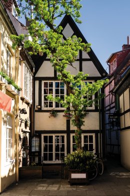 © thorabeti-fotolia.com