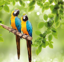 © Vitaly Krivosheev - fotolia.com