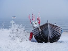 © Rico K. - stock.adobe.com