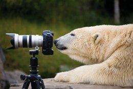 © Thomas Fietzek-Fotolia.com