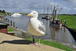 © fotowinnie - fotolia.com