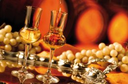 © EcoPim-studio-fotolia.com