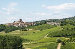 © Claudio Colombo-fotolia.com