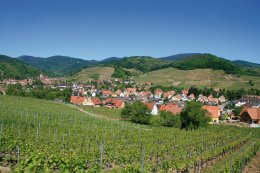 © jorisvo-fotolia.com