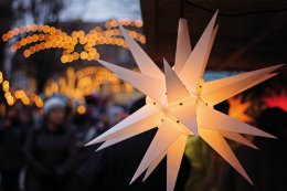 © Fotimmz-fotolia.com