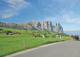 © travelpeter - Fotolia