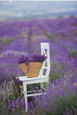 © GTeam-fotolia.com