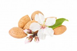 © Silvy78-fotolia.com