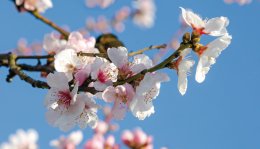 © doris oberfrank-list-fotolia.com
