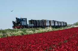 © Museumstoomtram Hoorn -  Medemblik
