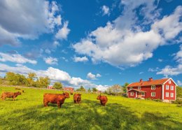 © DutchScenery-fotolia.com