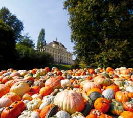 © Blühendes Barock Gartenschau Ludwigsburg GmbH/Marc Sansone