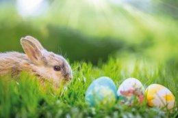 © drubig-foto - fotolia.com