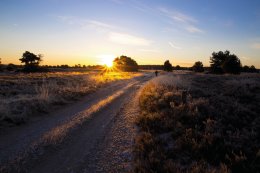 © Meike_I-fotolia.com