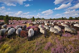 © RuZi-fotolia.com