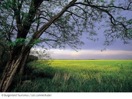 © Foto: Burgenland Tourismus