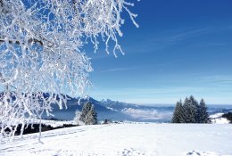 © Janine Grab-Bolliger - Bearbeitung- Joujou_pixelio.de
