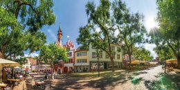 © Sina Ettmer - stock.adobe.com