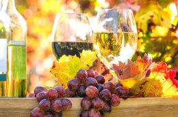 © doris oberfrank-list - stock.adobe.com
