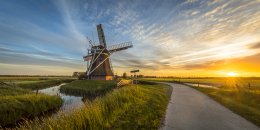 © creativenature.nl - stock.adobe.com