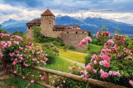 © Boris Stroujko - stock.adobe.com