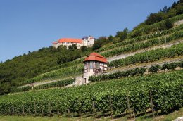 © Saale-Unstrut-Tourismus e.V.