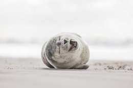 © by-studio - stock.adobe.com