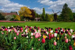 © Weltvogelpark Walsrode