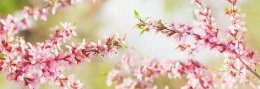 © Nitr - stock.adobe.com