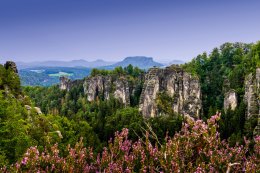 © makasana photo - stock.adobe.com