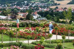 © Bad Nauheim Stadtmarketing und Tourismus GmbH 