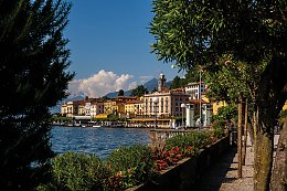 © Gabriele Bignoli-fotolia.com
