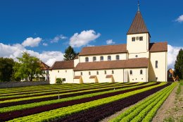 © Klaus Brauner - stock.adobe.com
