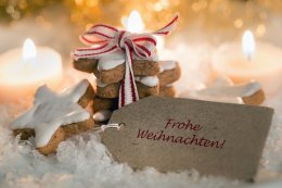 © Sonja Birkelbach - stock.adobe.com