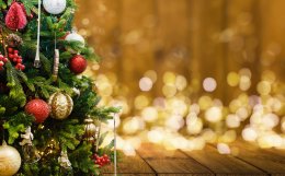 © Angelov - stock.adobe.com
