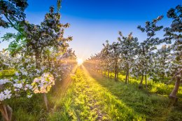 &copy; powell83 - stock.adobe.com