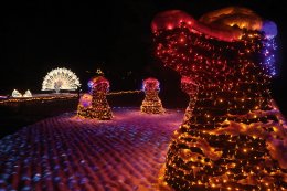 &copy; Reiner - stock.adobe.com