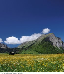 Wiese in Au mit Kanisfluh © Ludwig Berchtold/Vorarlberg Tourismus