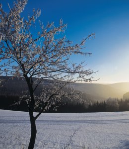 Winterlandschaft © Katalogwerkstatt