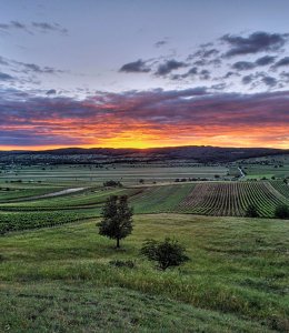 A Neusiedler See Naturpark - Leithagebirge © ARGE Naturparke