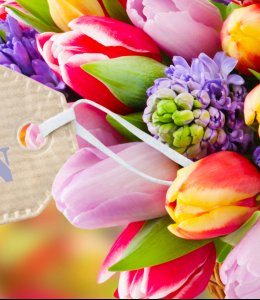 Frohe Ostern! © PhotoSG - stock.adobe.com