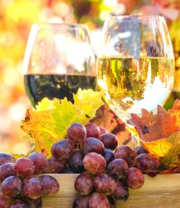 Weinprobe im Herbst © doris oberfrank-list - stock.adobe.com
