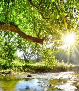 Raus in die Natur © John Smith - stock.adobe.com