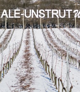 Weinberg im Winter © 2008 Danilo Böhme