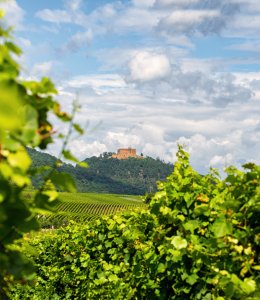 Hambacher Schloss © Marcel - stock.adobe.com